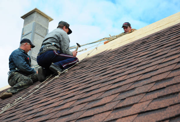 Residential Roof Replacement in Zeeland, MI